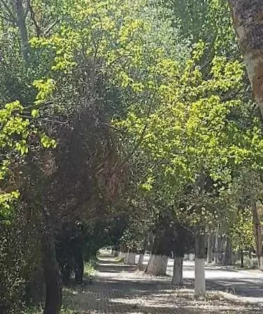 Agrampeli * Valsamata