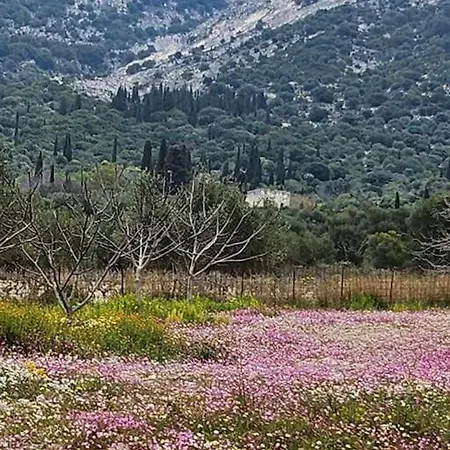 Villa Agrampeli Valsamata