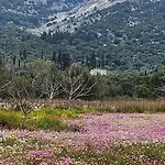 فيلة Agrampeli Valsamata