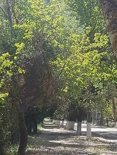 Agrampeli * Valsamata