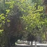Agrampeli * Valsamata